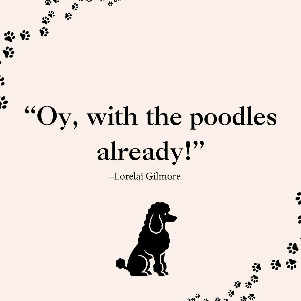 Gilmore Girls Magnets — (2.5" x 2.5”) Set of 9